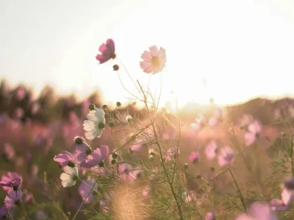 yeonhee-2myshnFeXkw-unsplash